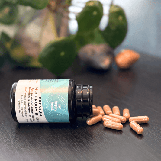 Premium Mushroom Blend