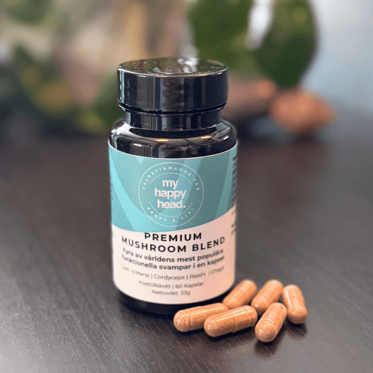 Premium Mushroom Blend